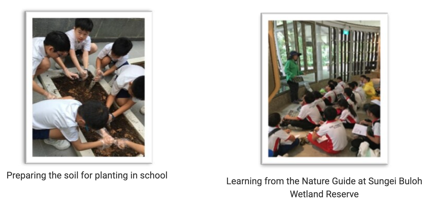 Students dig soil in a planter box; separately, children sit on the floor listening to a guide in a building.